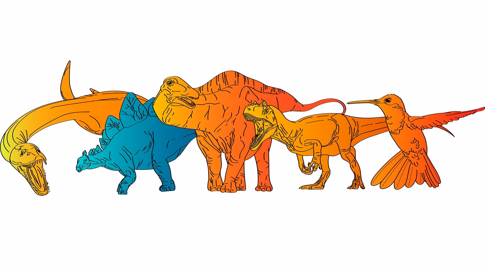 Do dinosaurs have a cardiovascular function?