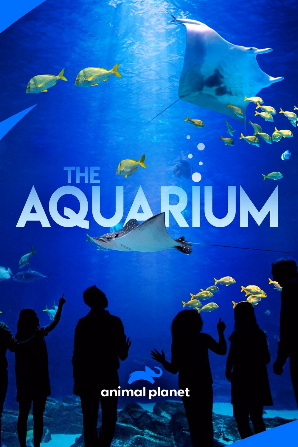 What is Aquaria?
