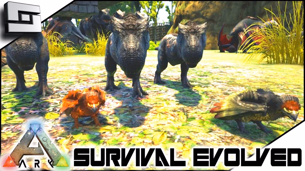 Where is the center in Ark?