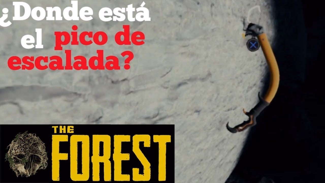 ¿Quiénes son los escaladores más prolíficos de las paredes?