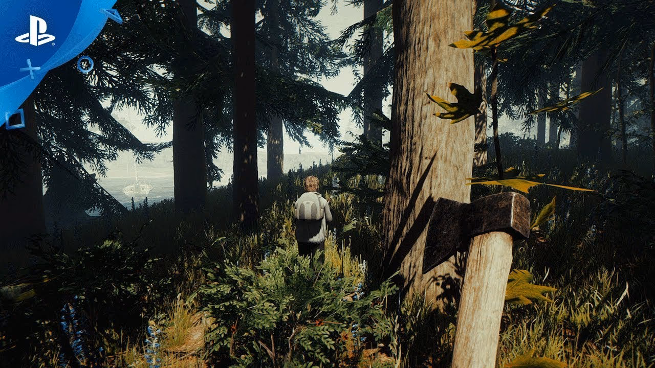 When is The Forest scheduled for release?
