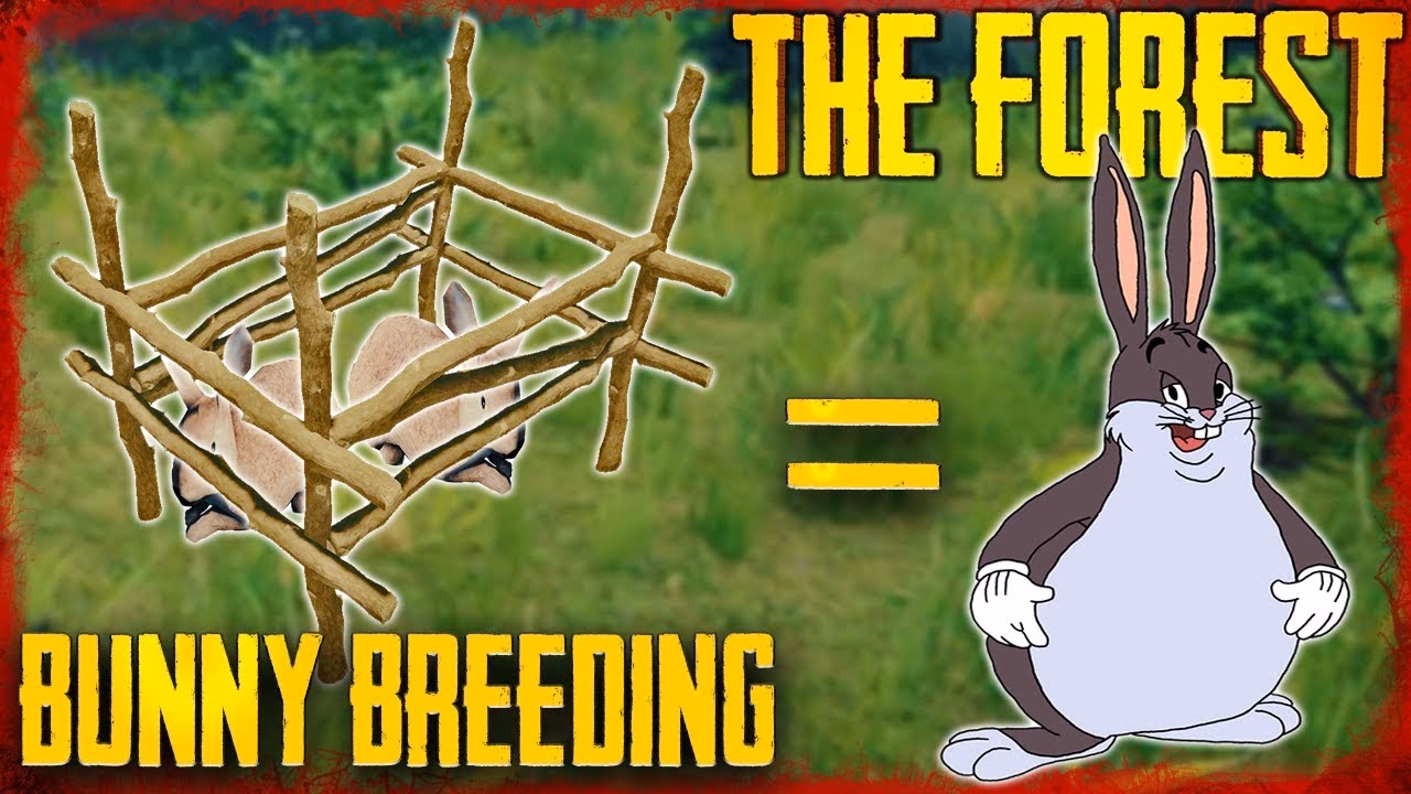 How to catch a rabbit without killing it?