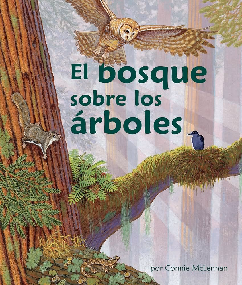 What is the Spanish word for 'forest'?
