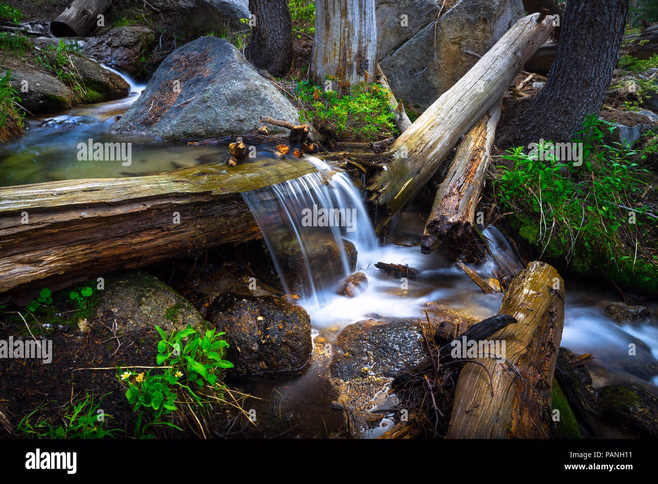 What happens if you carry logs under water?