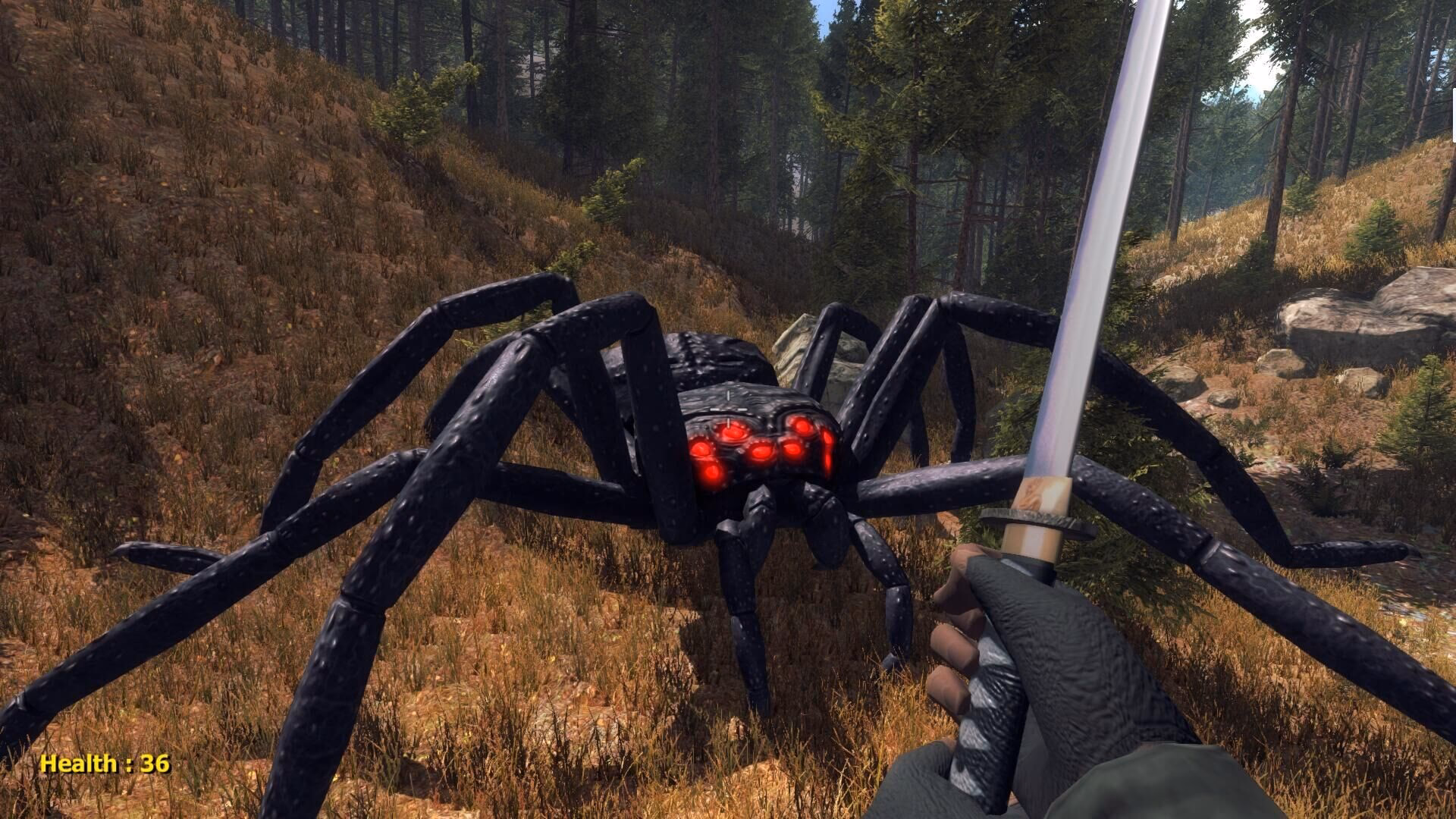 What creatures are in the forest?
