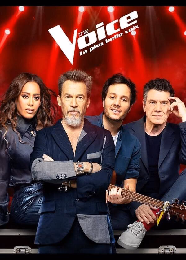 What is 'the voice' based on?