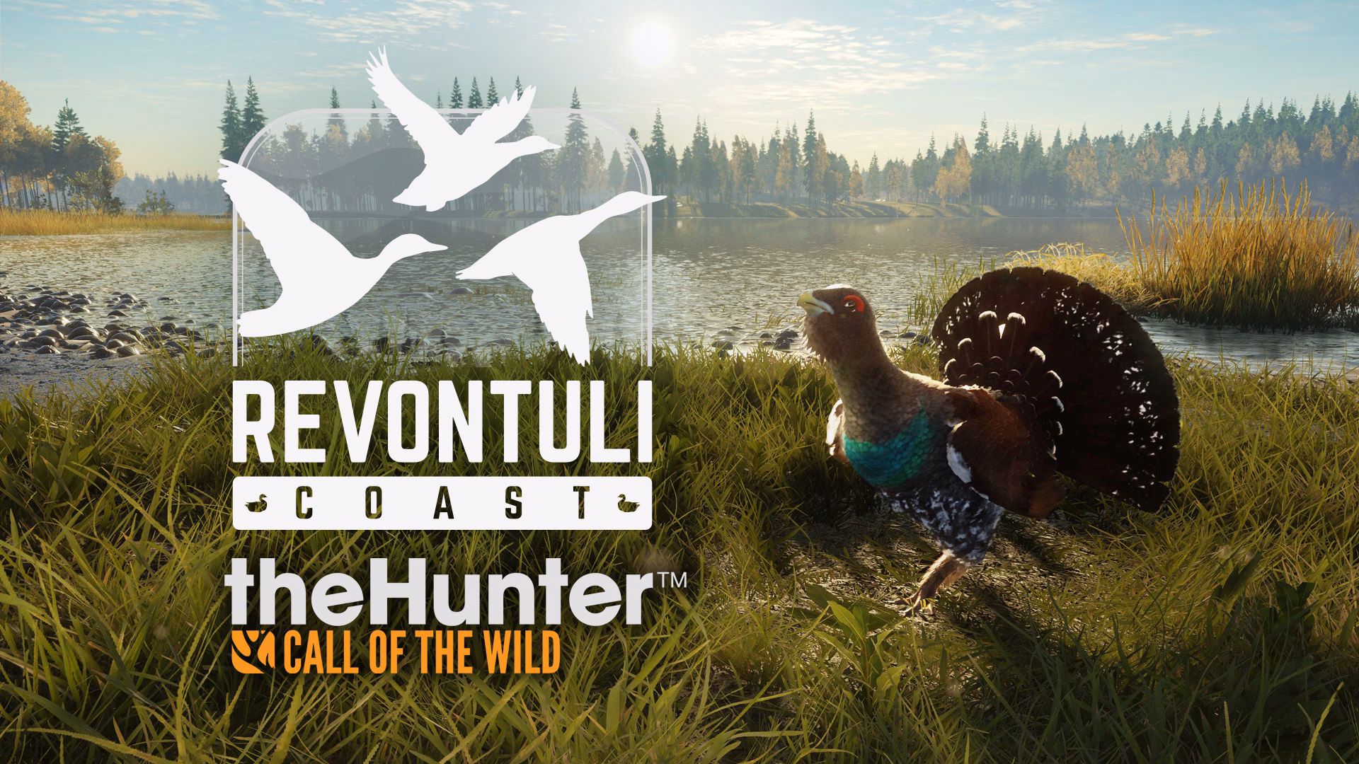 What's new in the Hunter Showcase Update?