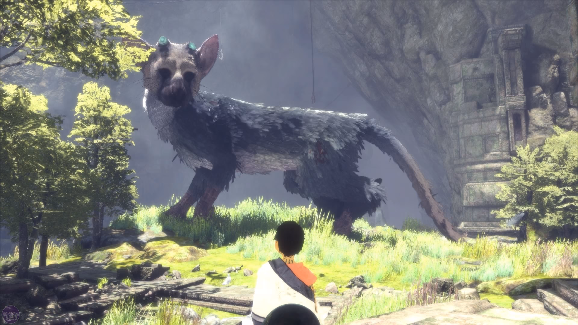 Is there a way to play Last Guardian on PS4?