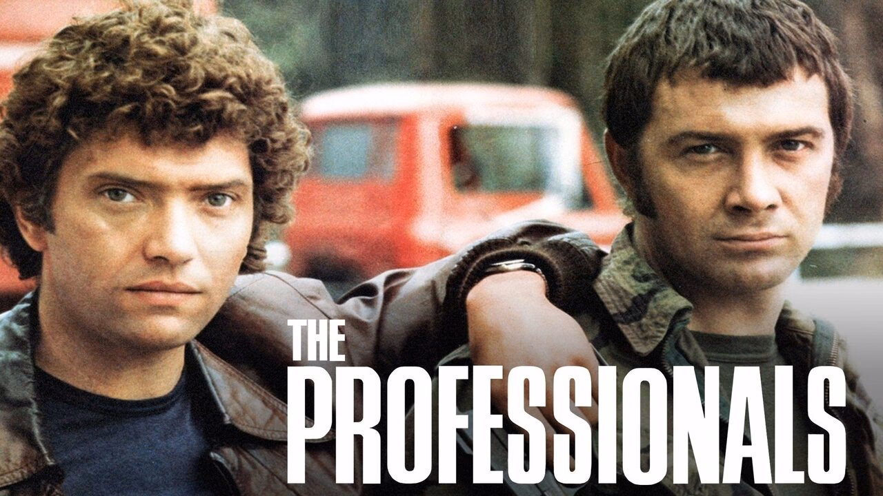 Is professionals based on a true story?