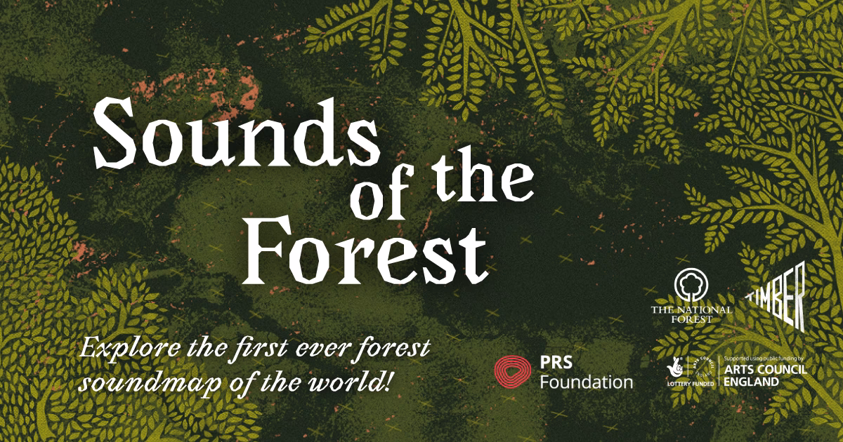 Why do we listen to forest sounds?