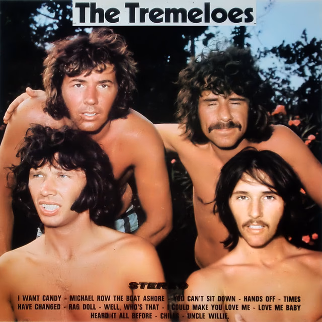 ¿Quién es el cantante de The Tremeloes?