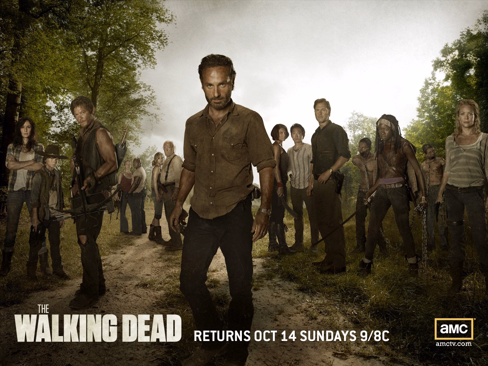 How many The Walking Dead 4K wallpapers are there?