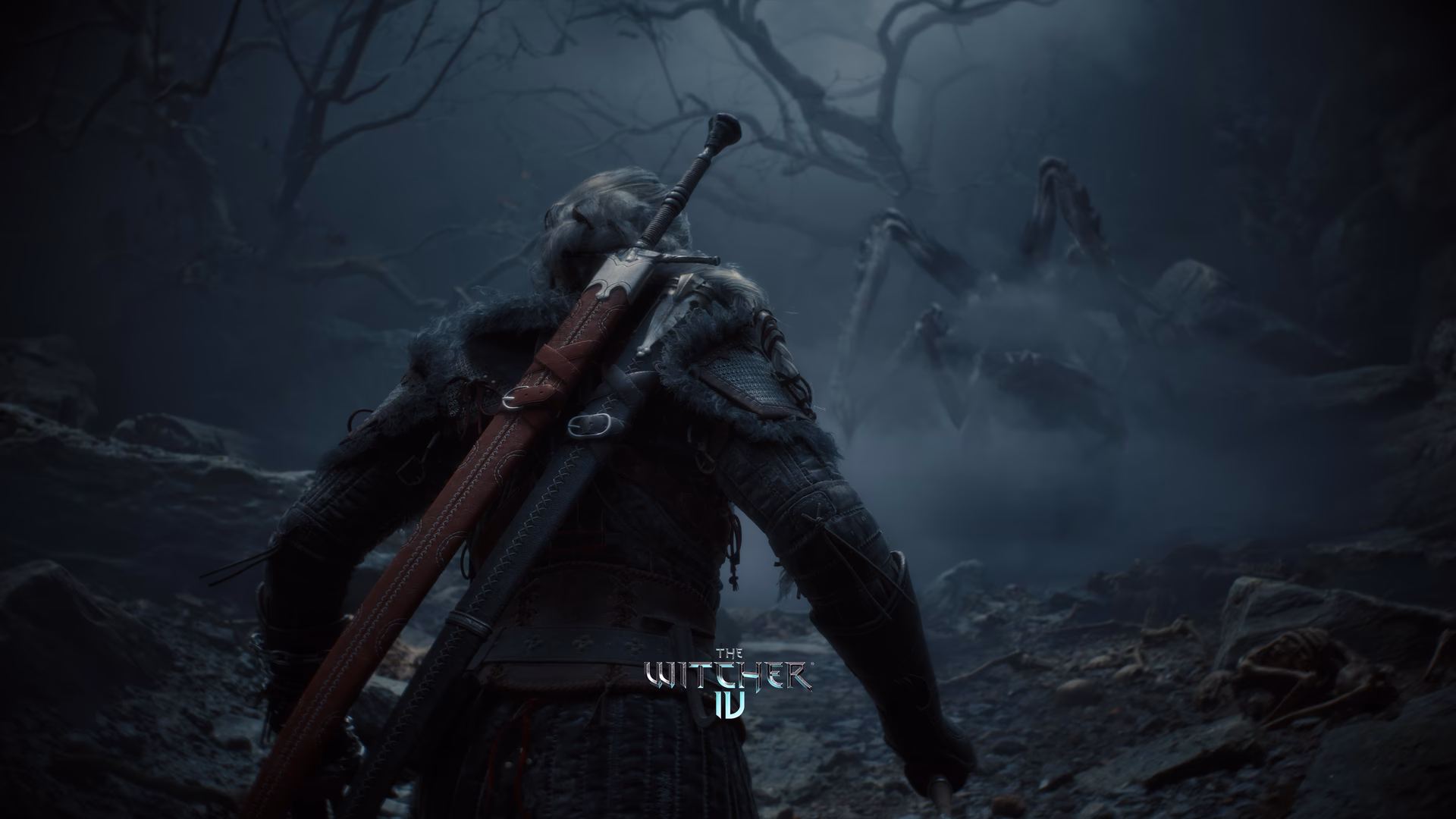 What is the background of witchers?