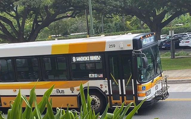 Is the bus a good bus Sim?