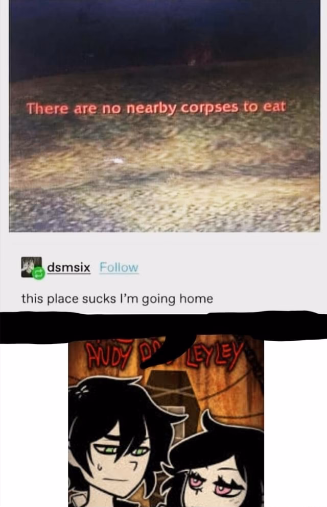 What do corpses eat?