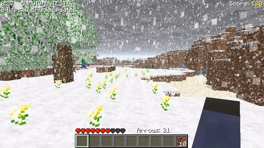 Where can I find Snow in Minecraft?