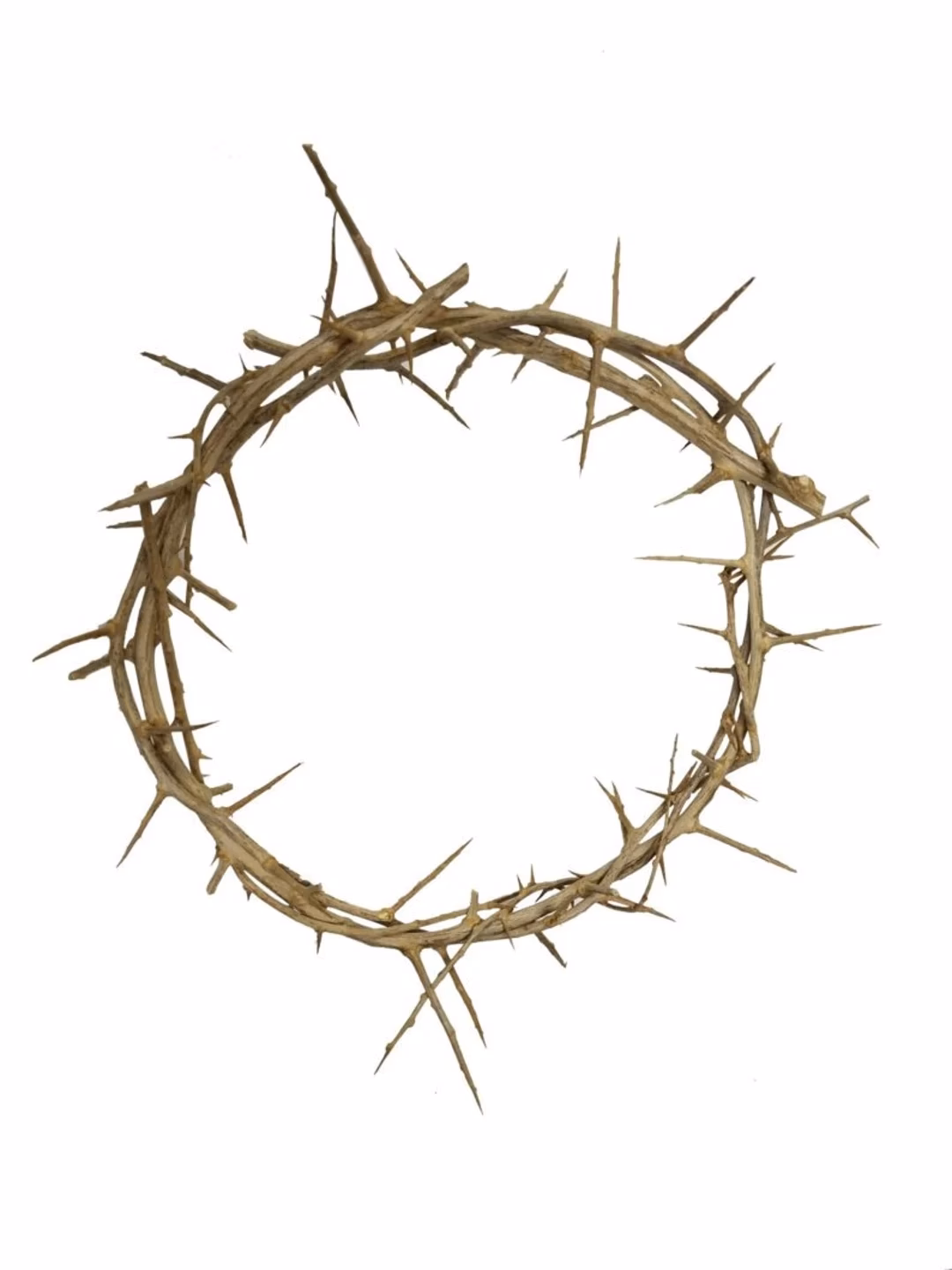 Why did the soldiers give Jesus a crown of thorns?