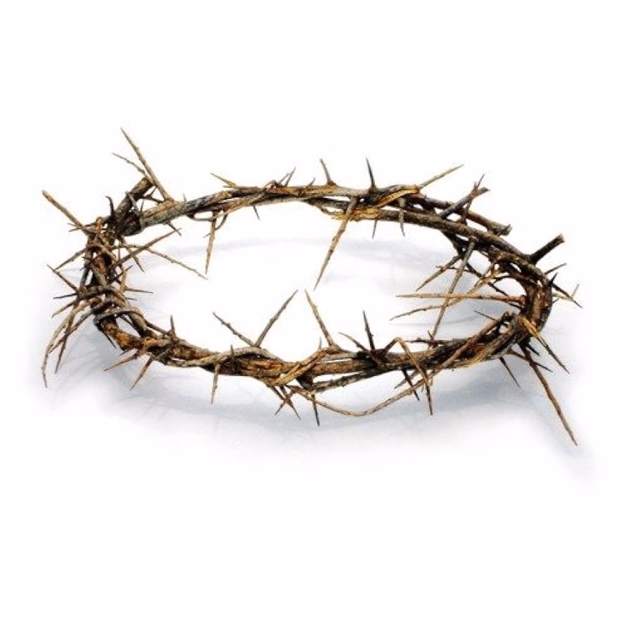 Did Jesus have a crown of thorns?