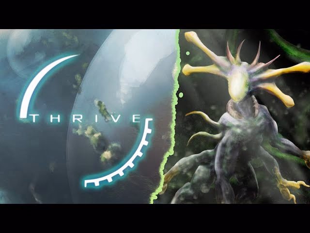 What is thrive?