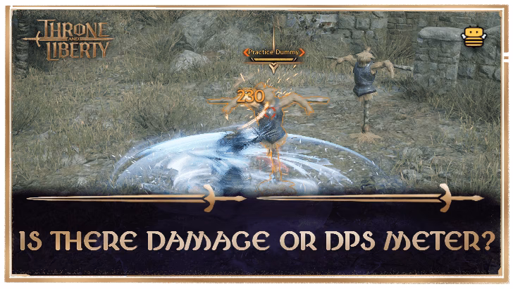 Do Dungeons need a DPS meter?
