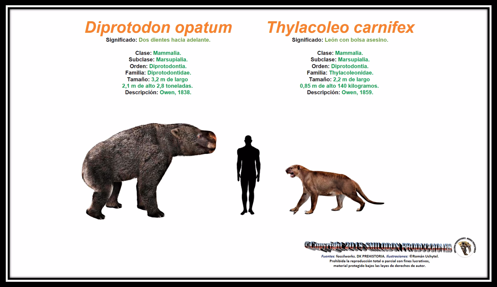 ¿Qué hace Thylacoleo en la tierra quemada?