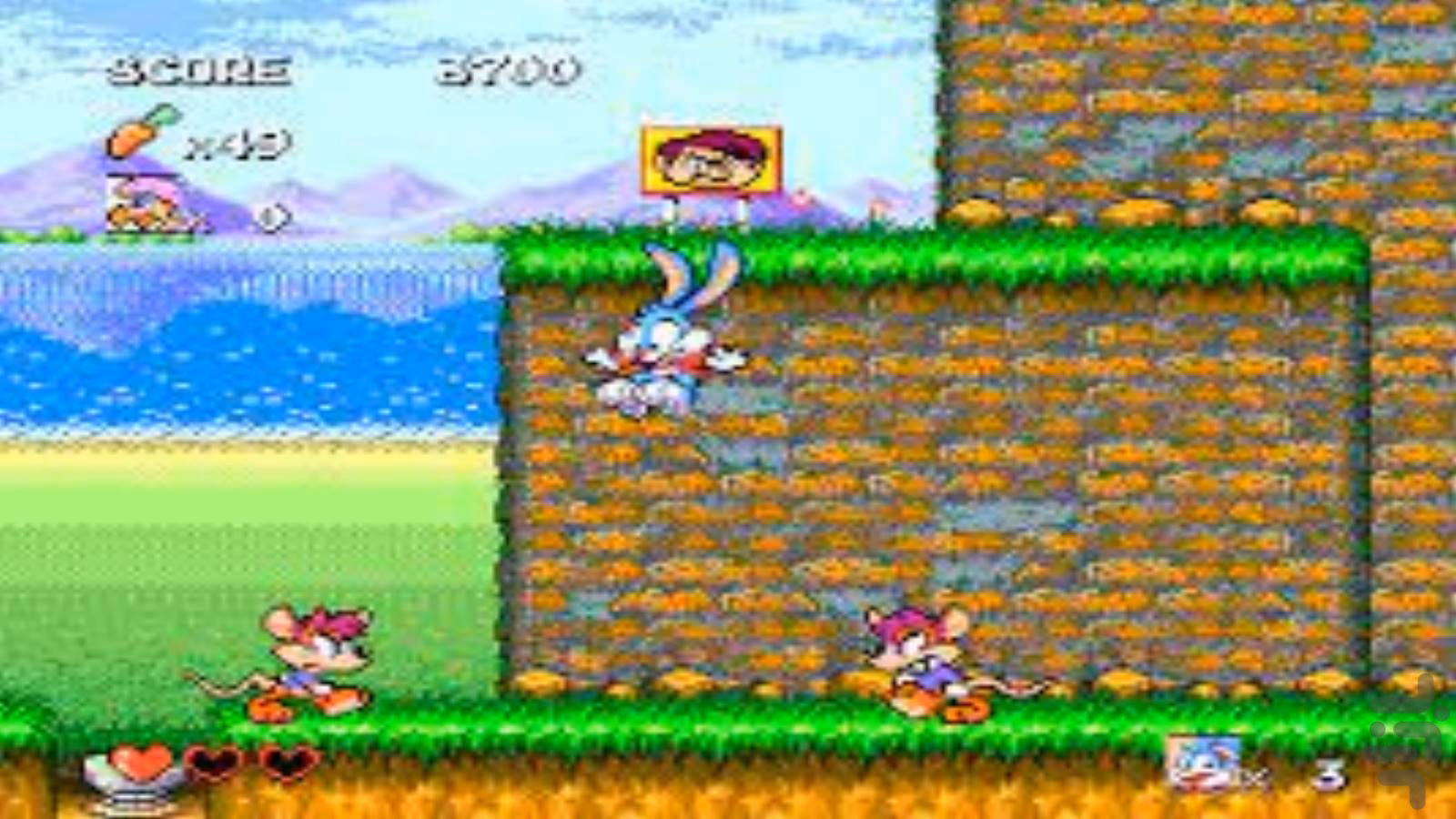 What is Tiny Toon Adventures?