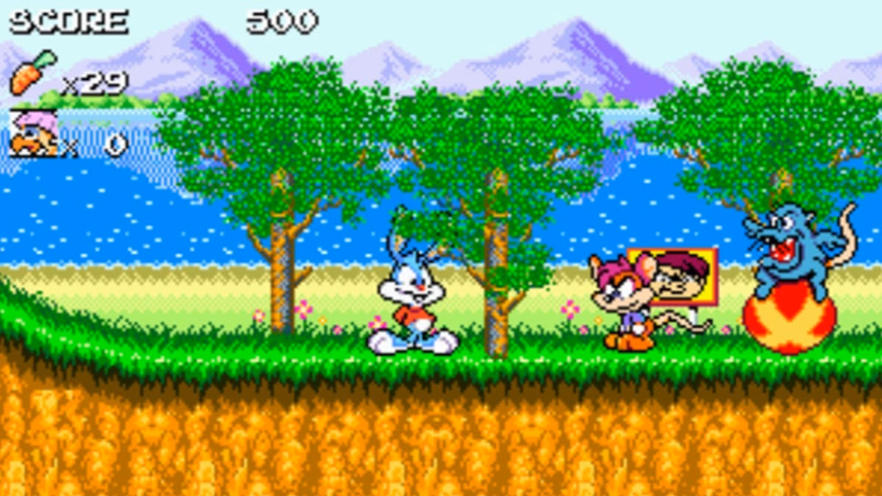 What is the name of a Tiny Toon Adventures video game?