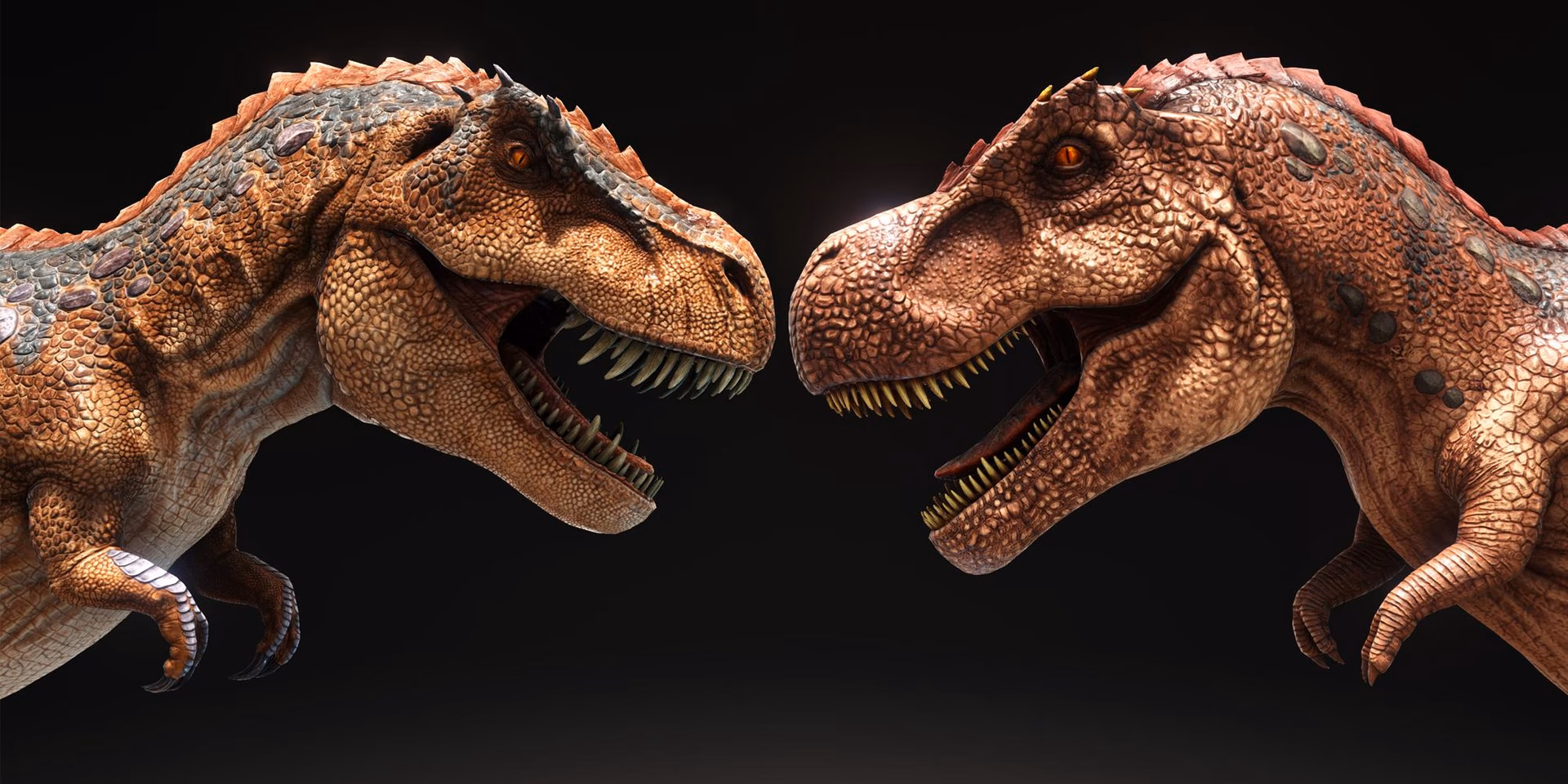 Is there a support channel for Ark Survival Evolved?