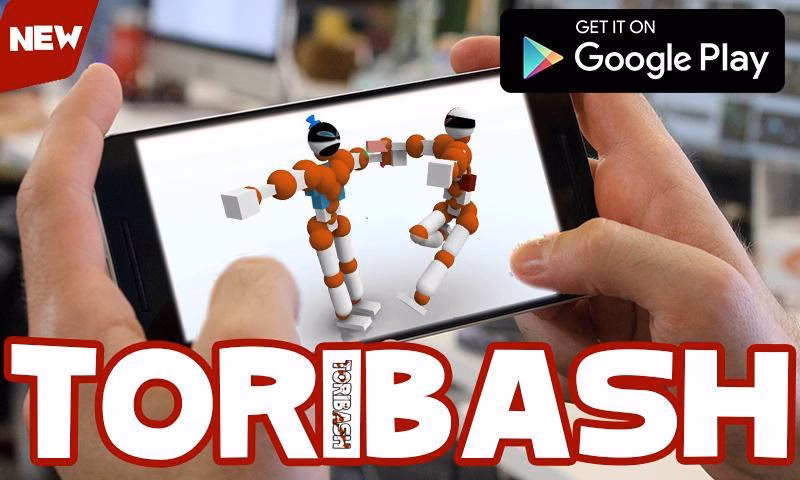 What is Toribash?