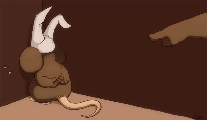 What happens if you cheat in Transformice?