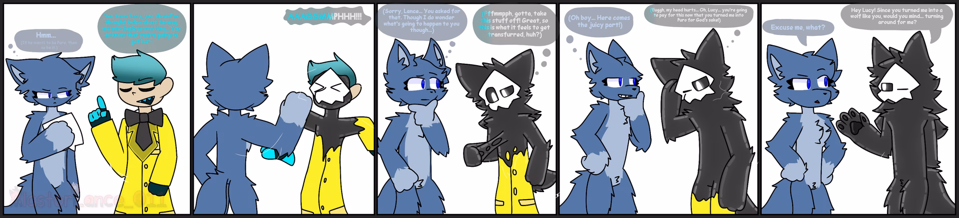 What is an example of a transfur?