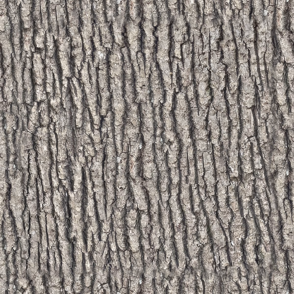 Is tree texture protected by reCAPTCHA?