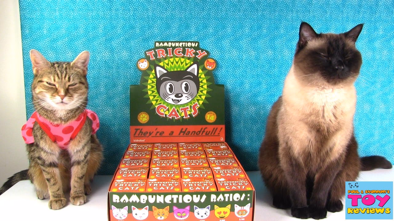 What is tricky cat?