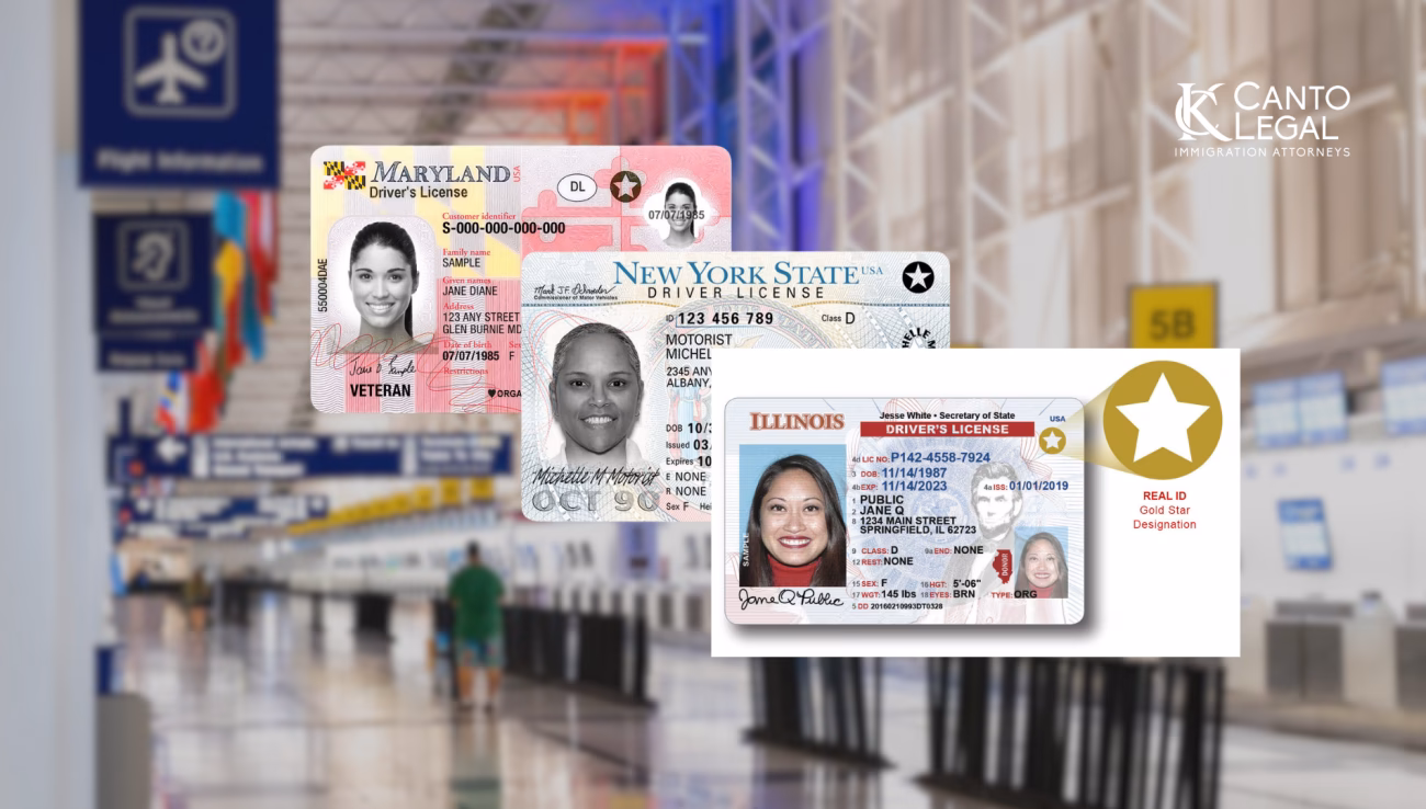¿Qué es tu licencias?