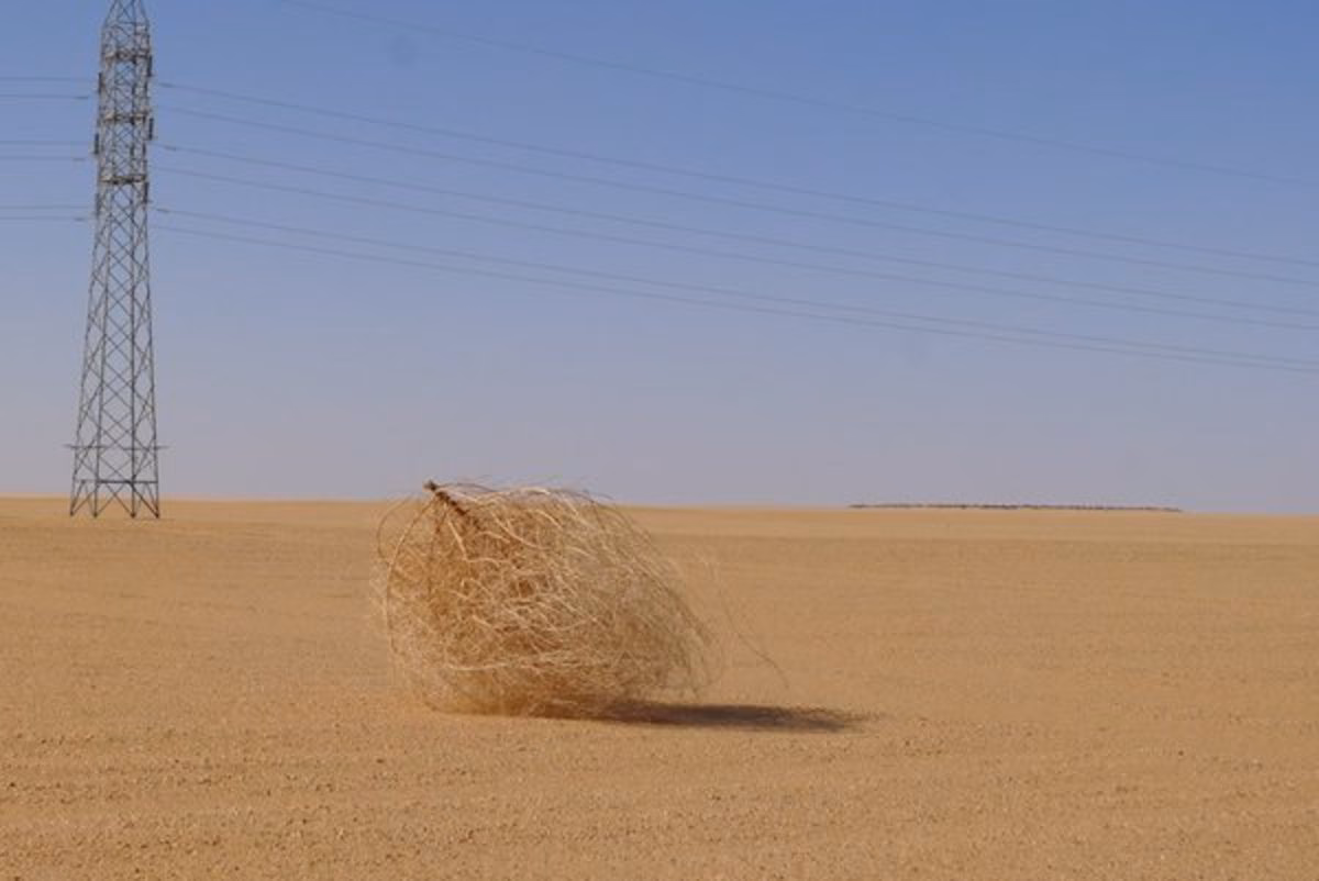 What is the dreaded Tumbleweed moment?