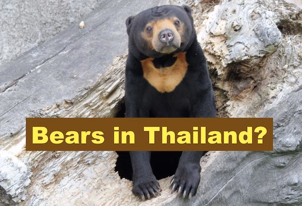 How many servers does TunnelBear support?