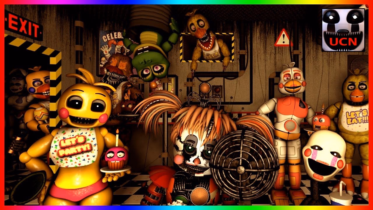 ¿Cuáles son las actividades de la UCN?