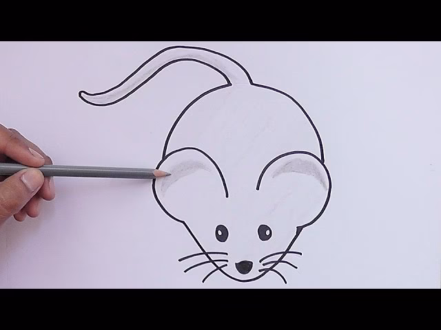 ¿Qué es el ratón y para qué sirve?