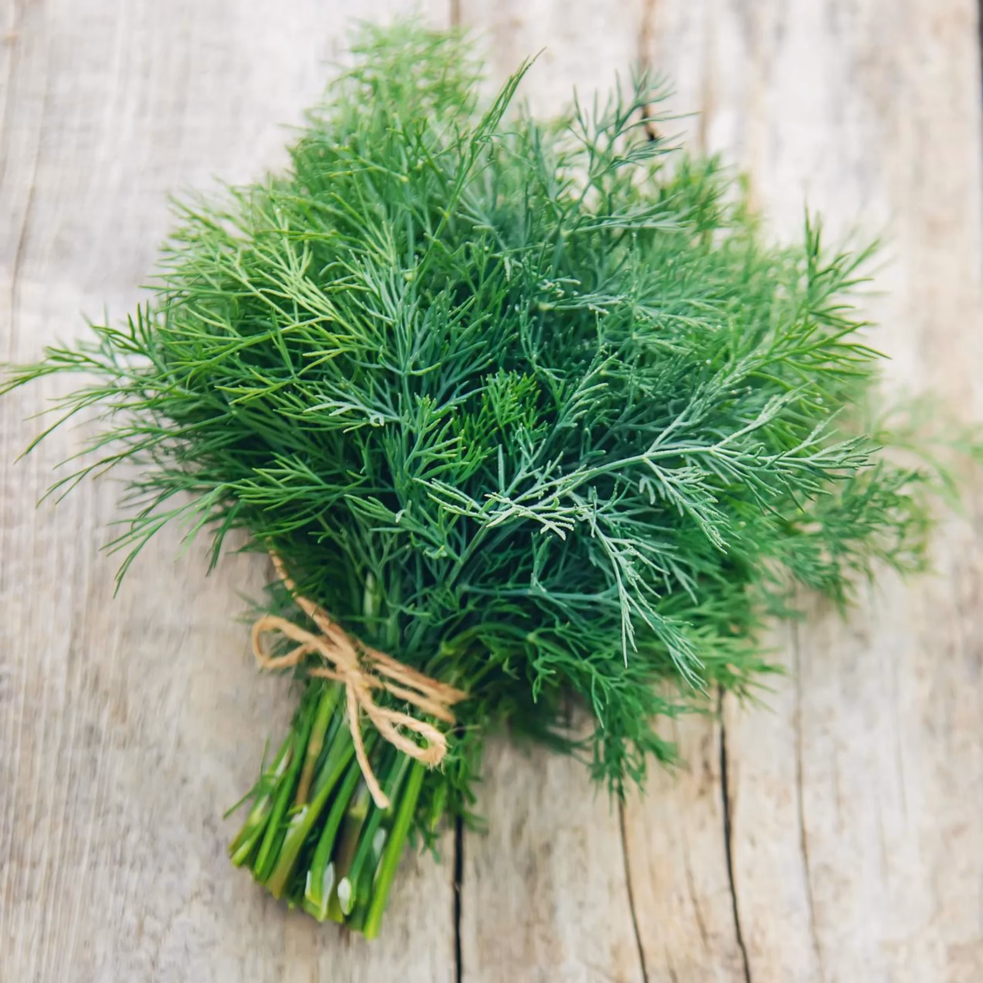 Who is North American herb & spice?