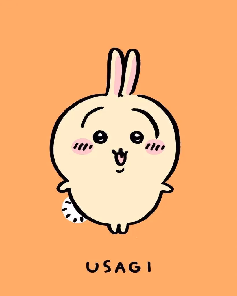 Is Usagi friends with hachiware and chiikawa?