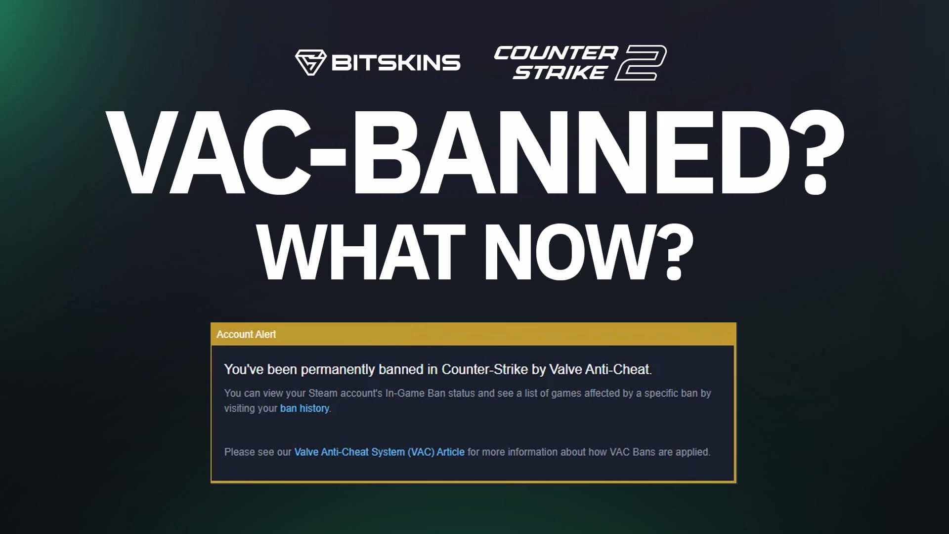 What is Steam ID for VAC banned?
