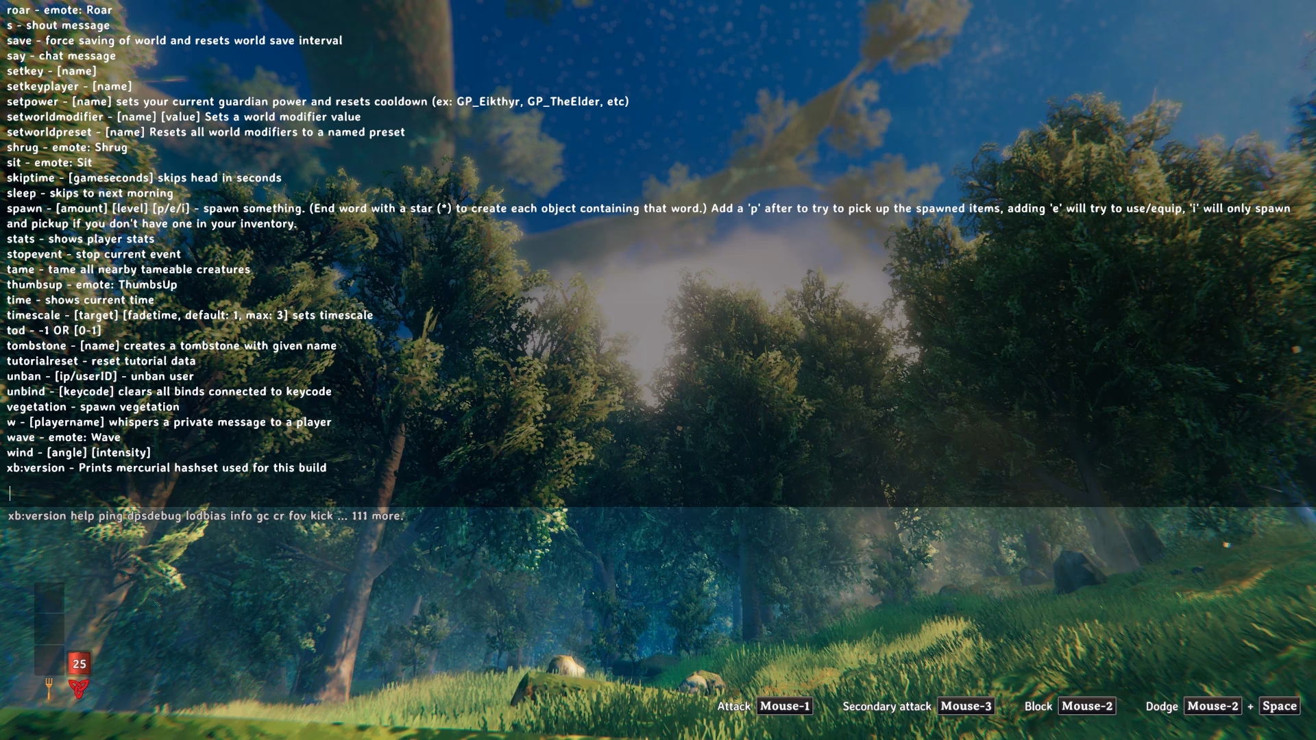 How do I use cheats in Valheim?