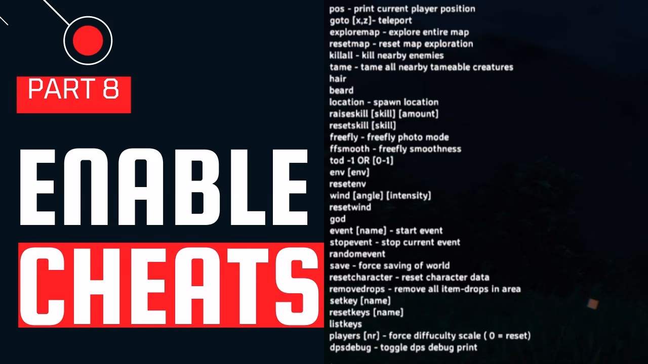 What are Valheim console commands?