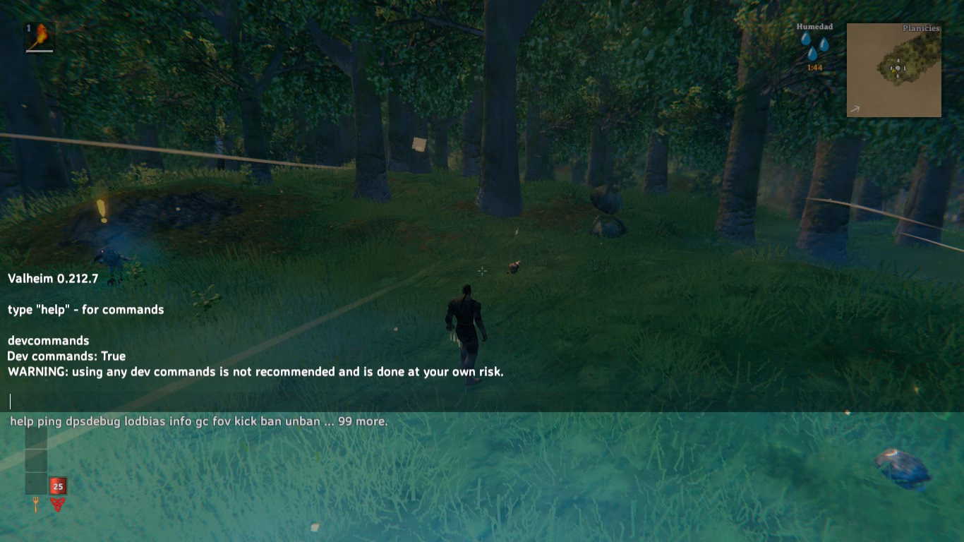 ¿Cómo poner un comando de trucos en Valheim?