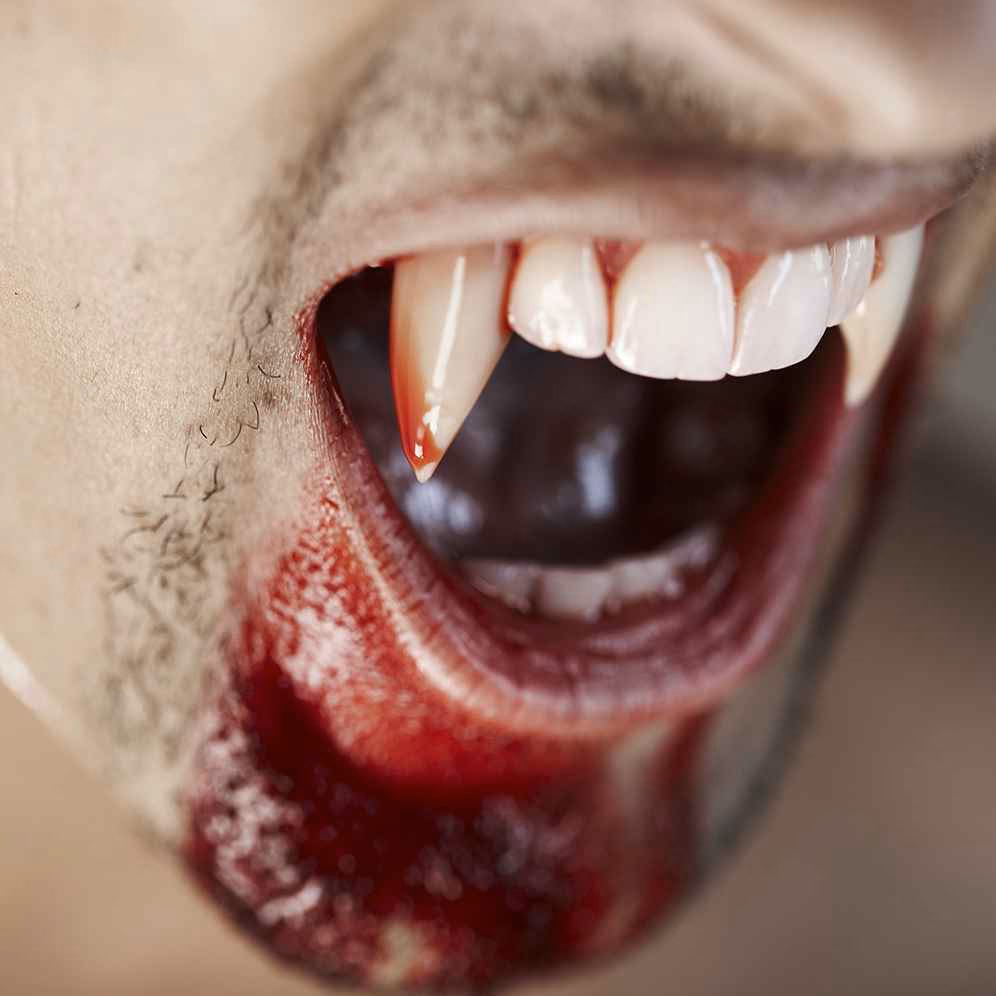 Where can I find vampire Fang?