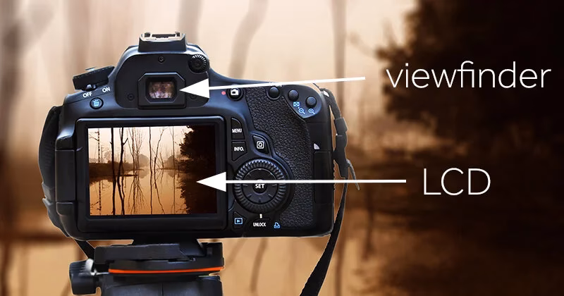 What is the purpose of the ViewFinder assessment?