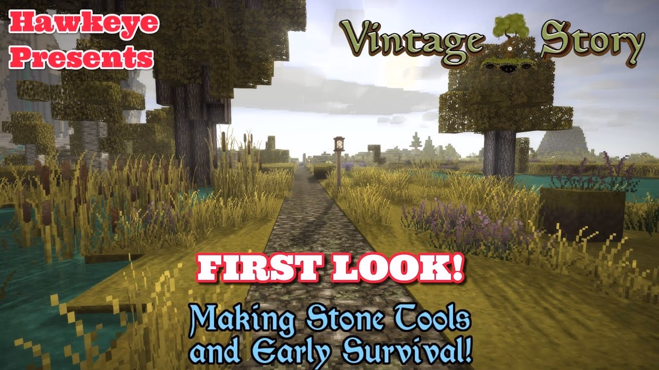 What is vintage story?