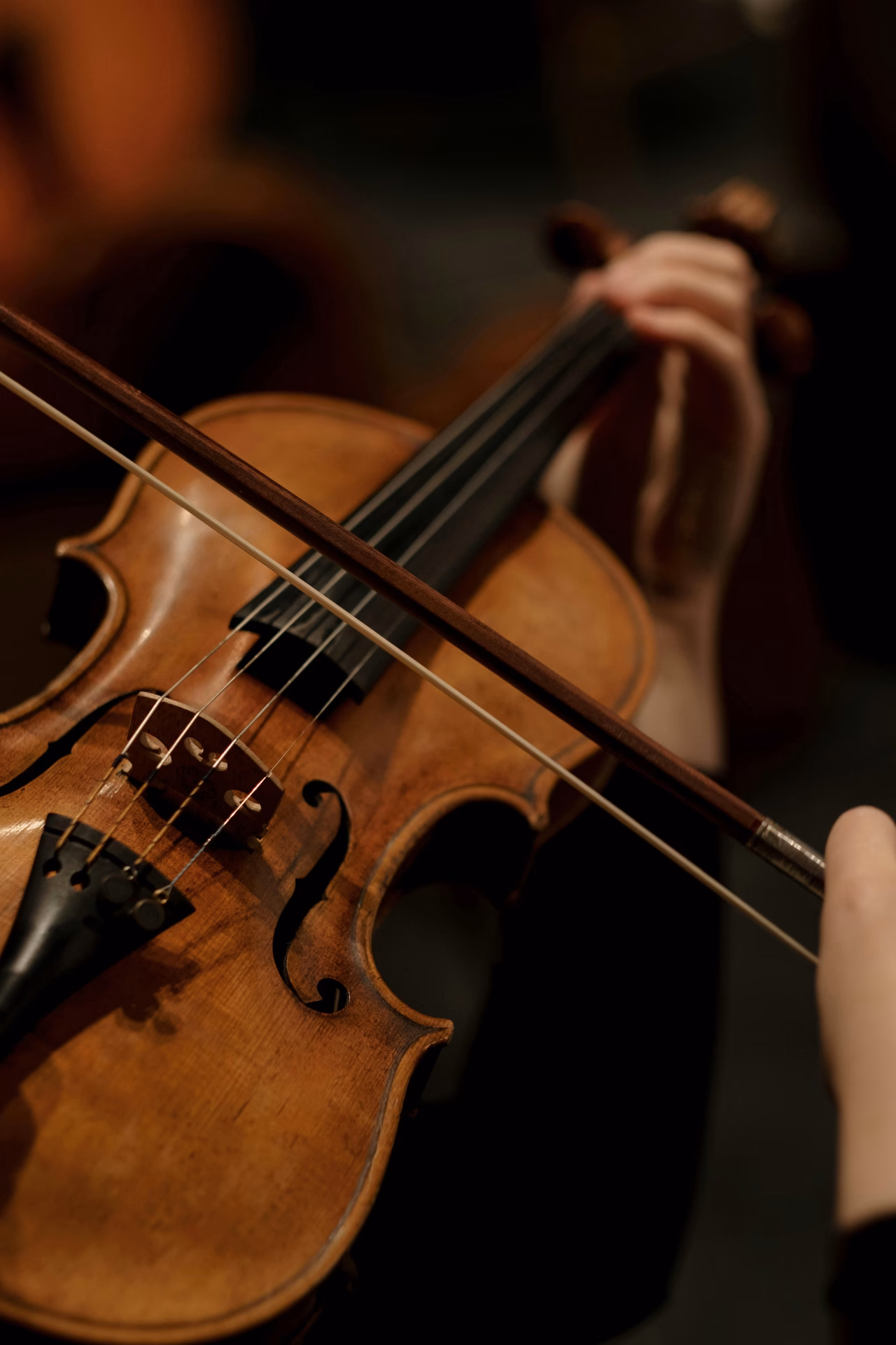 How many violin wallpapers are there?