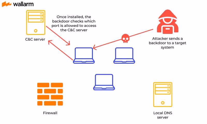 ¿Qué es un virus Backdoor?