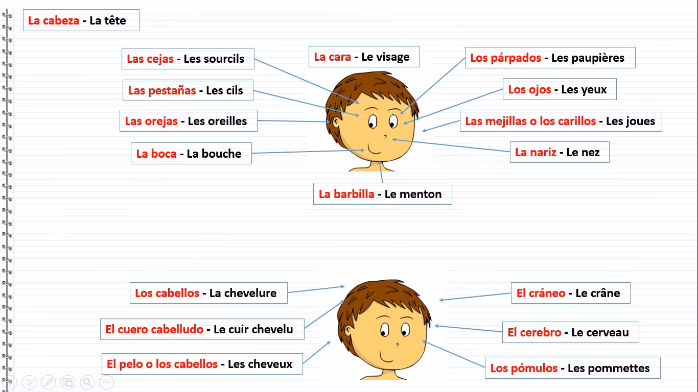 Quelle est la signification du visage d’un portrait ?